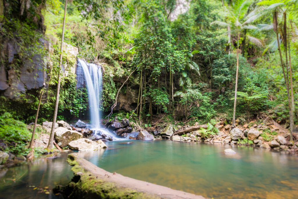 A waterfall cascades into a tranquil pool, surrounded by lush greenery, tall trees, and rocks. The forest setting creates a serene and natural atmosphere.