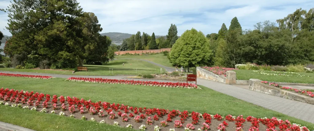 A park filled with vibrant red and white flowers in Hobart