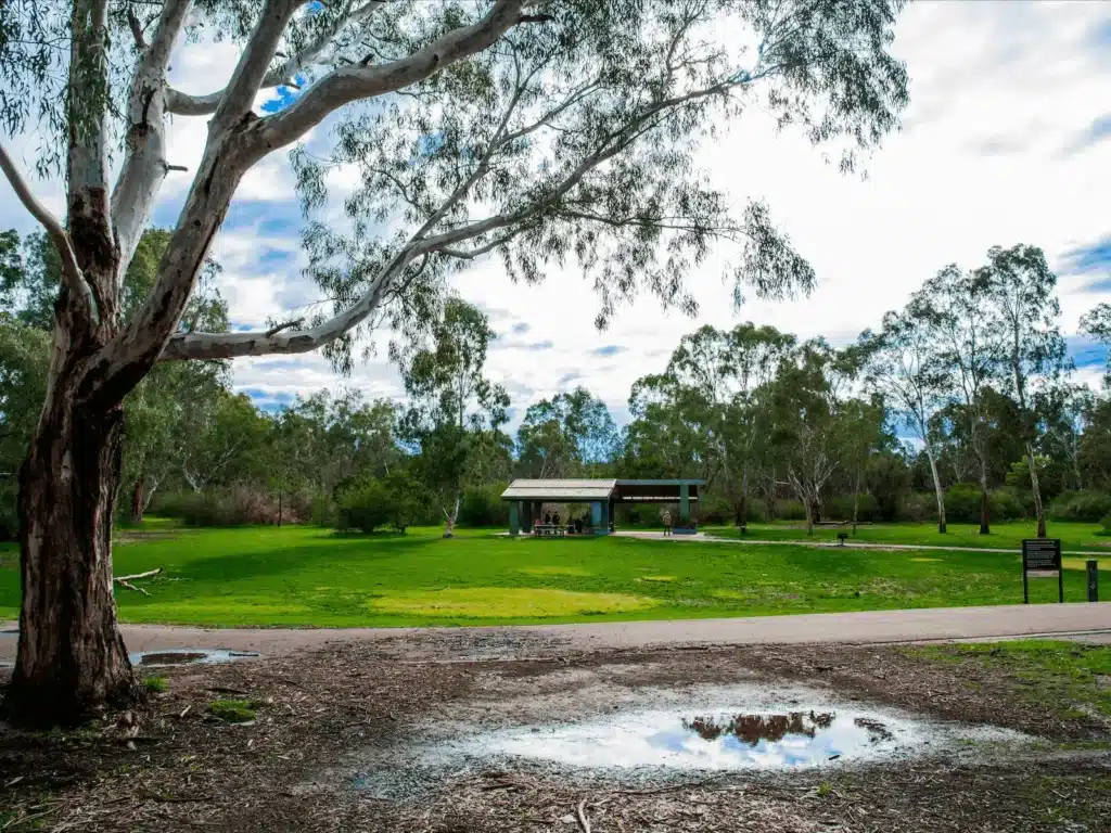 A park in Manningham with a tree, bench, and puddle