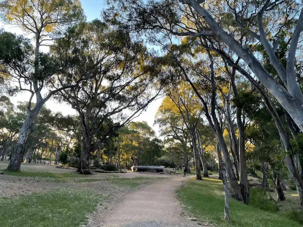 Adelaide Nature Day Trips: Exploring South Australia’s Natural Wonders