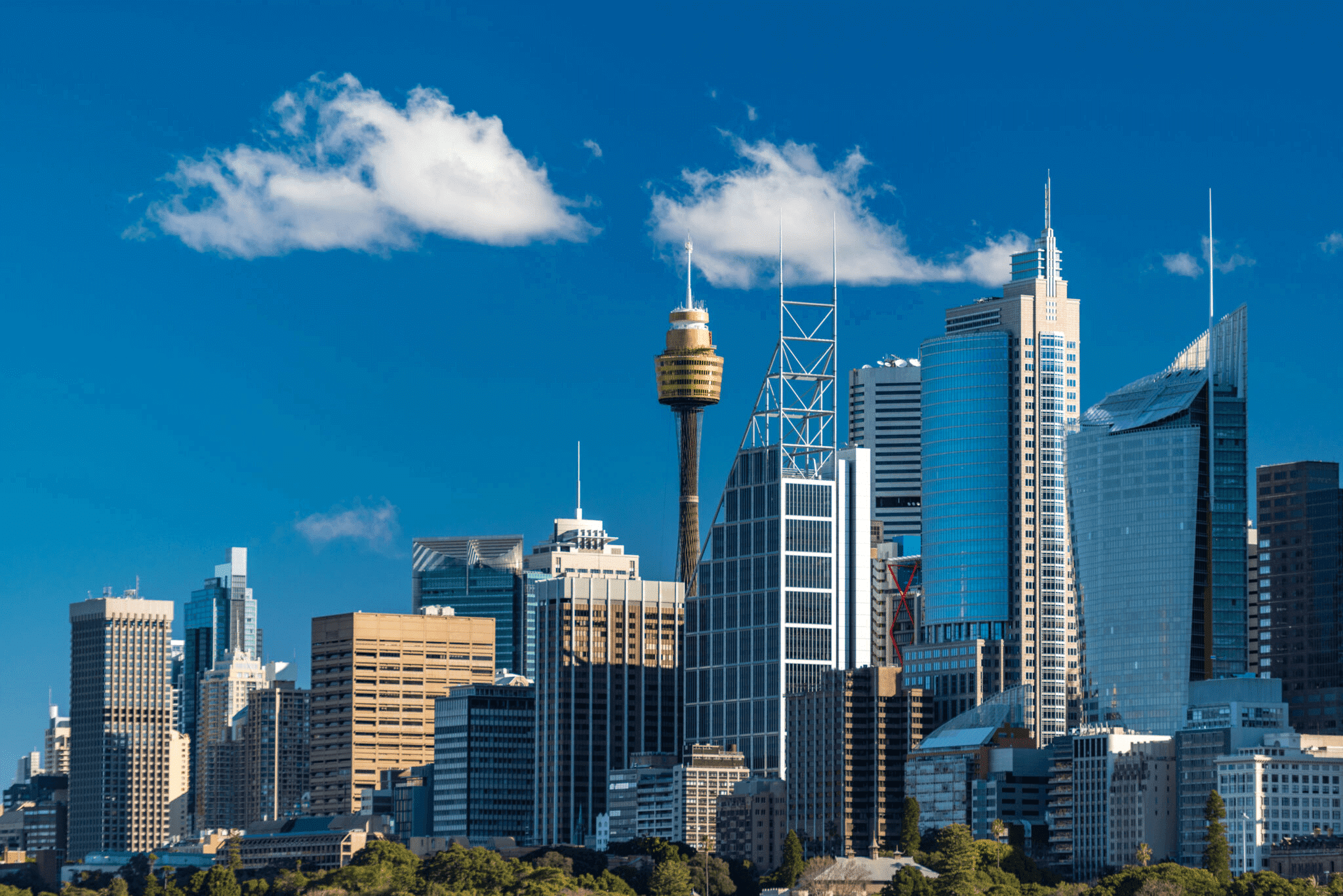 Skyline view of Sydney city with tall buildings
