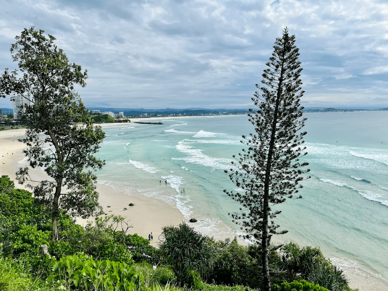 Beach view from hill on Gold Coast day trip