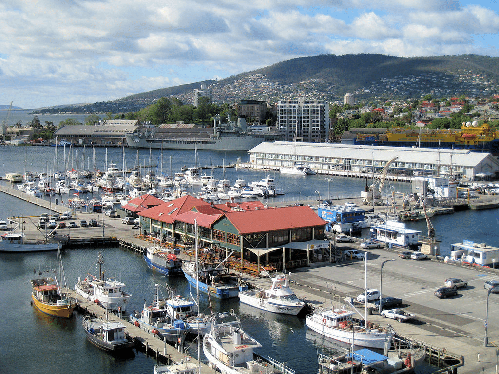 Boats filling the busy harbor in Hobart