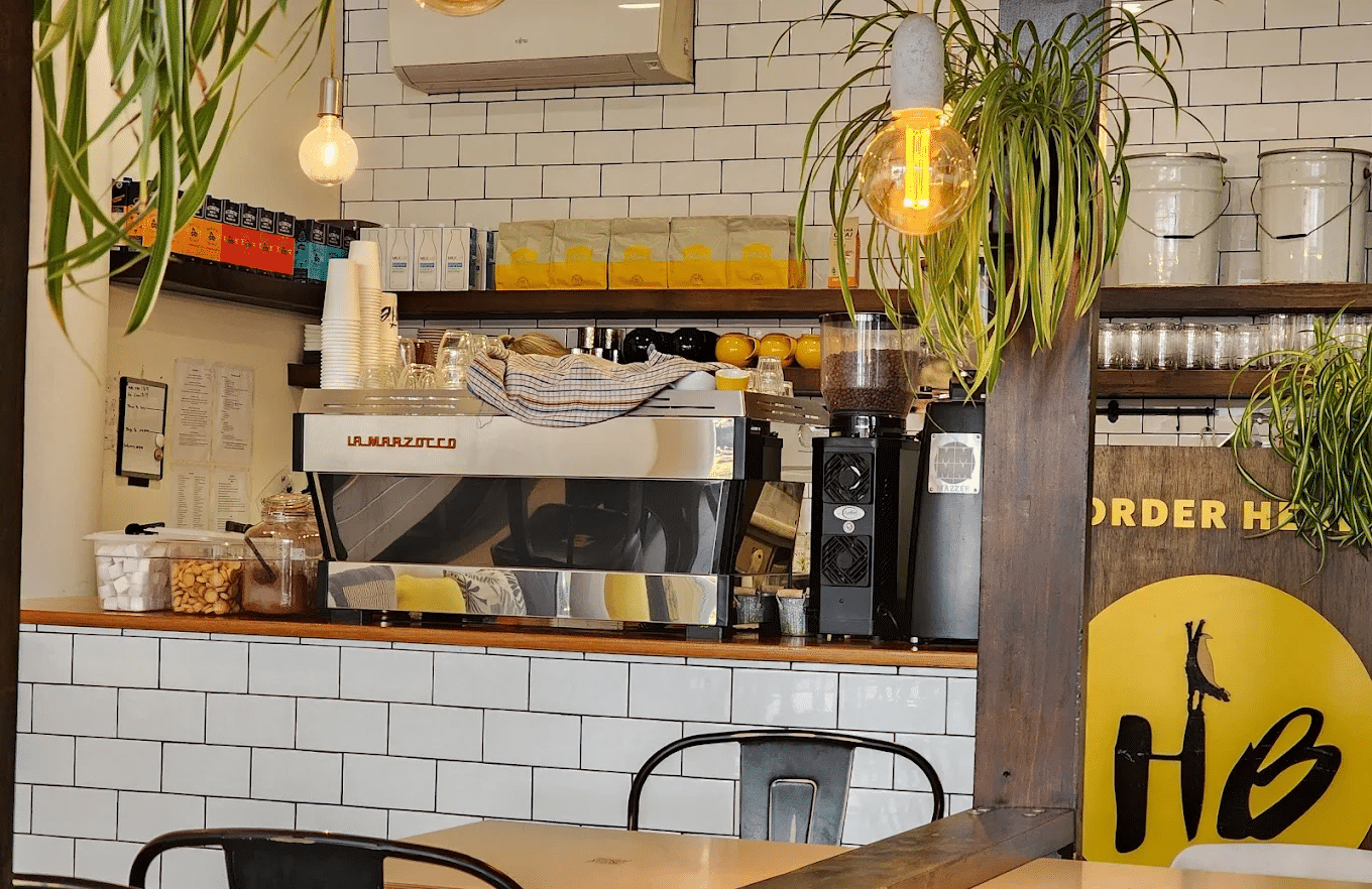 Cozy coffee shop with hanging plants in Hobart