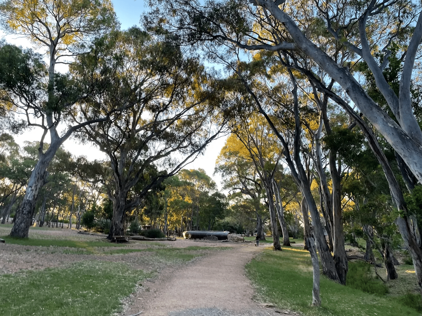 Dirt road in Adelaide surrounded by trees and grass