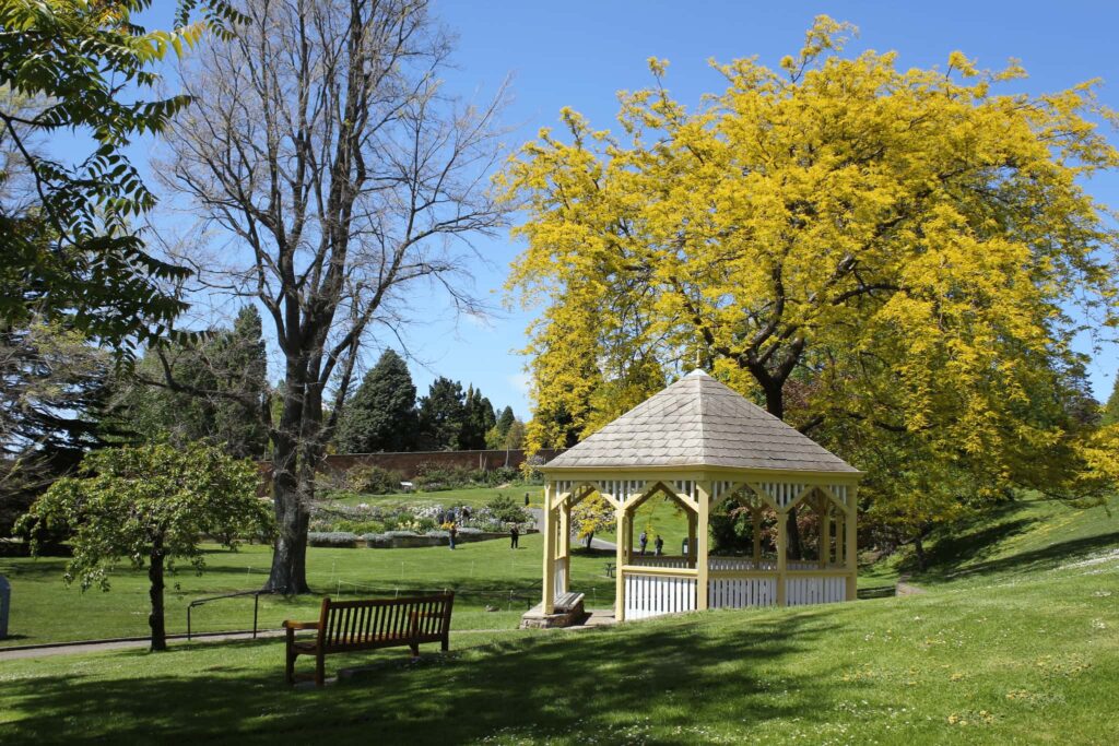 Gazebo in a Hobart park surrounded by trees