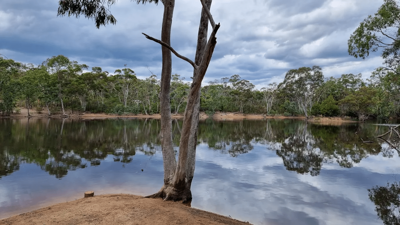 Lake surrounded by lush trees on an Adelaide nature trip