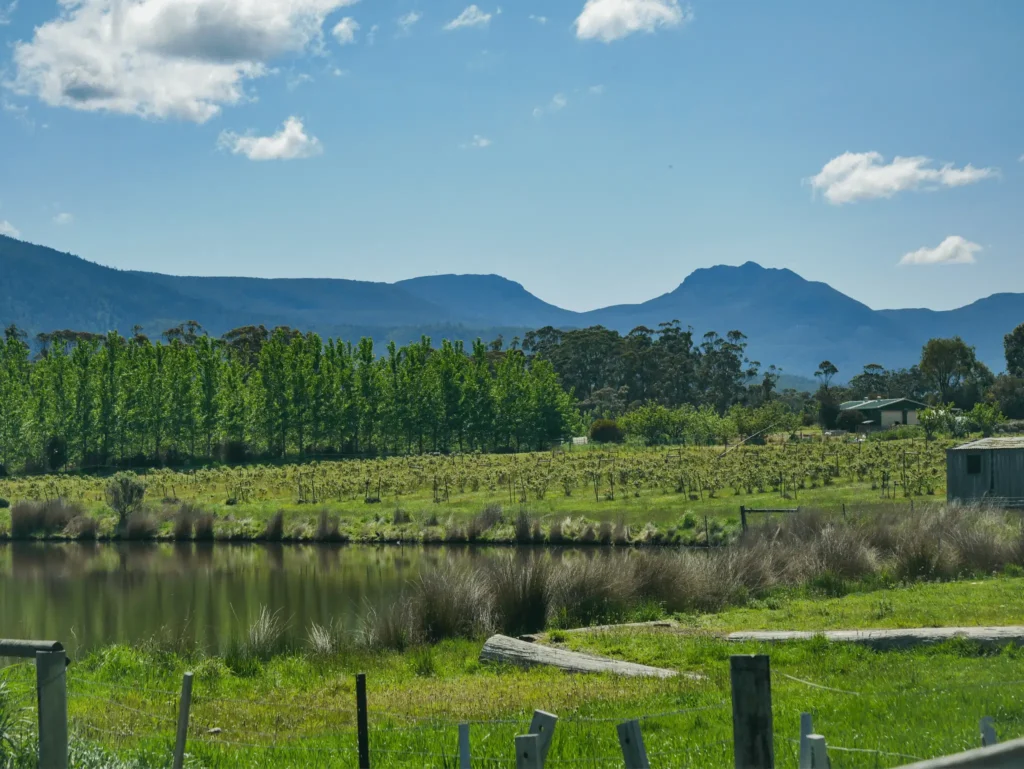 Scenic lake beside a vibrant green field near Hobart