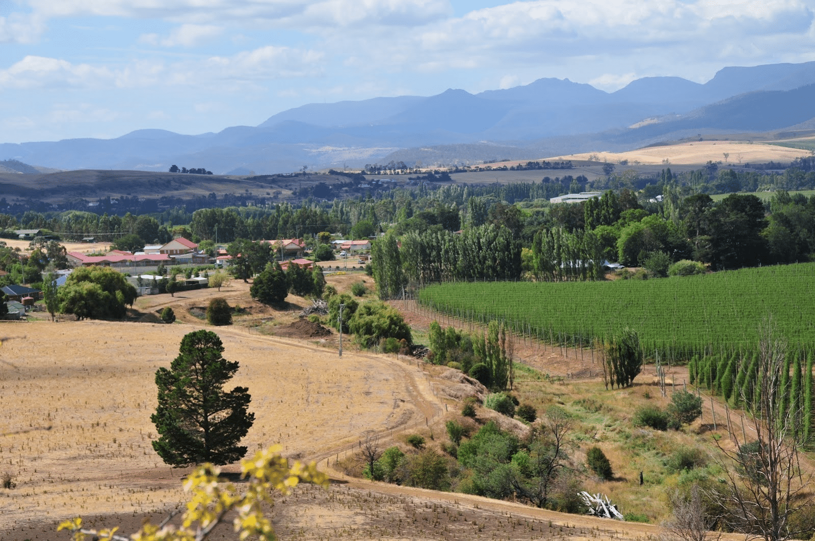 Scenic rural landscape with mountain backdrop in Hobart
