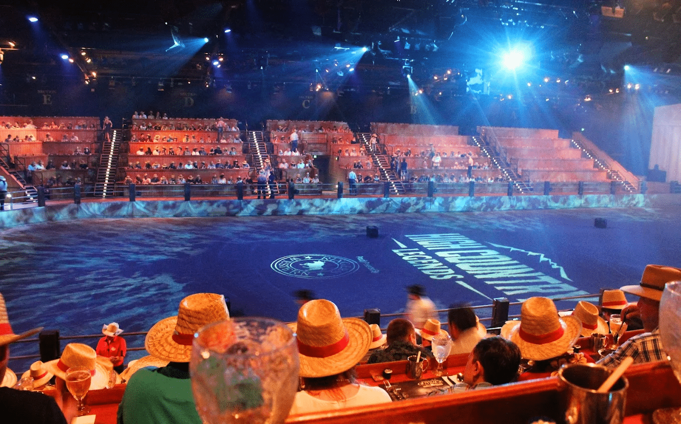 School excursion group watching a stage performance