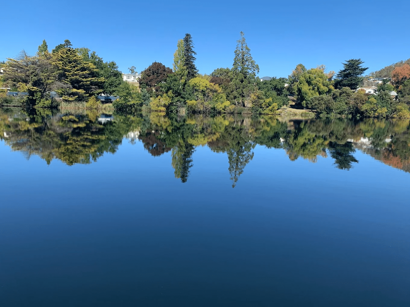 Serene lake surrounded by lush trees under a clear blue sky in Hobart