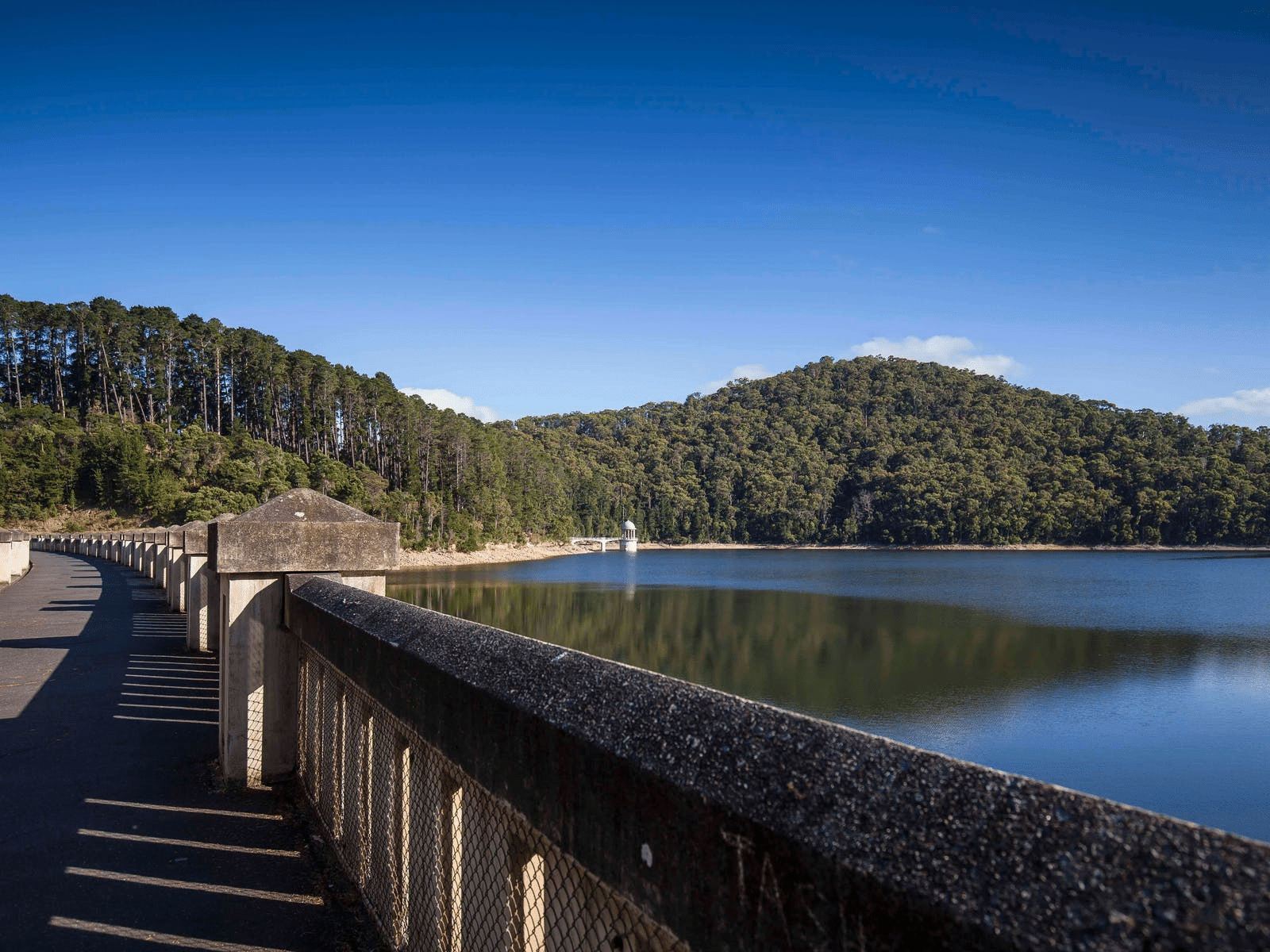 Serene water body adjacent to Yarra Melbourne forest