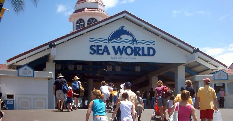students on a school excursion standing in front of a building on the gold coast.png