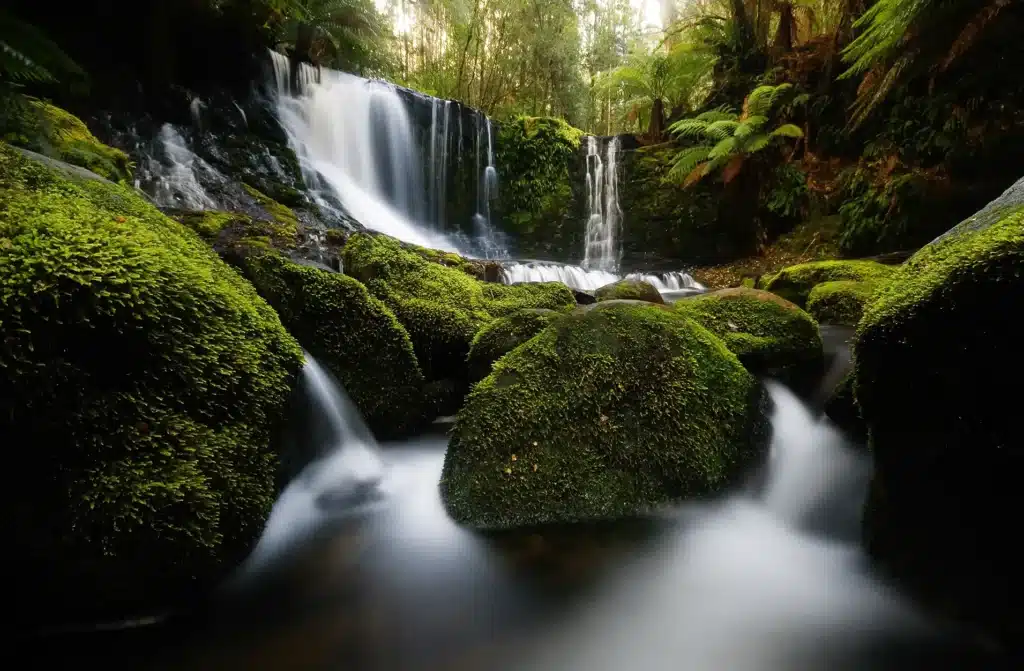 Waterfall in a forest during a group day trip from Hobart