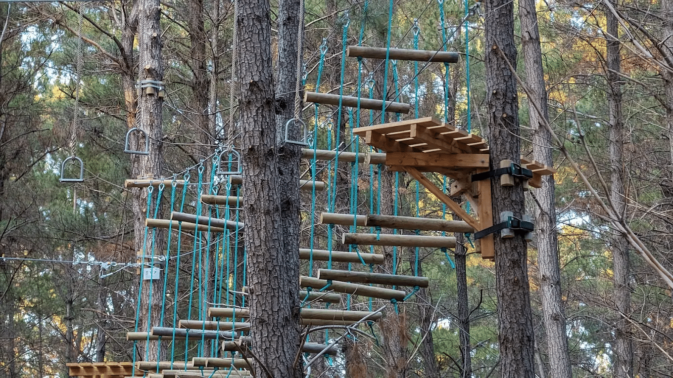 Wooden structure amidst forest in Canberra