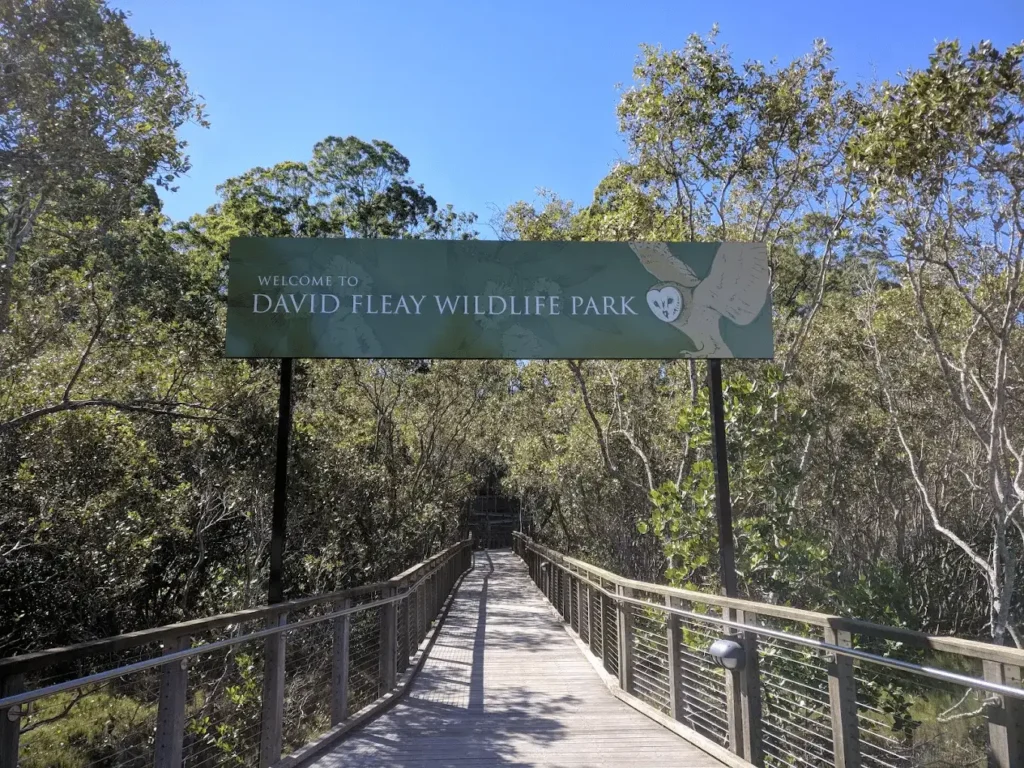 Wooden walkway entrance to david fleay wildlife park on gold coast nature day trip