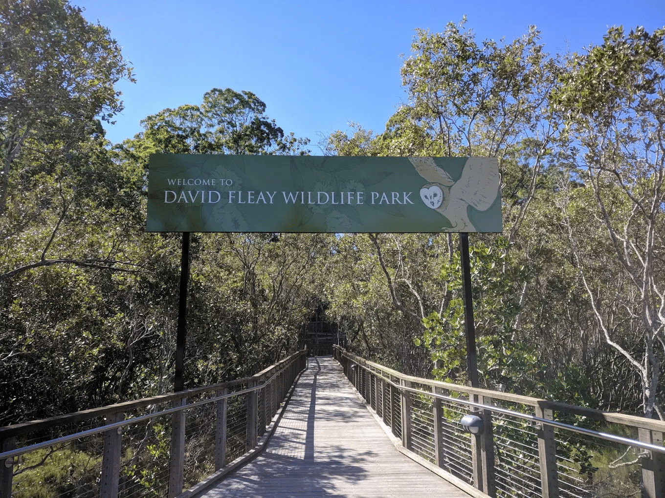 Wooden walkway leading to David Fleay Wildlife Park in Gold Coast