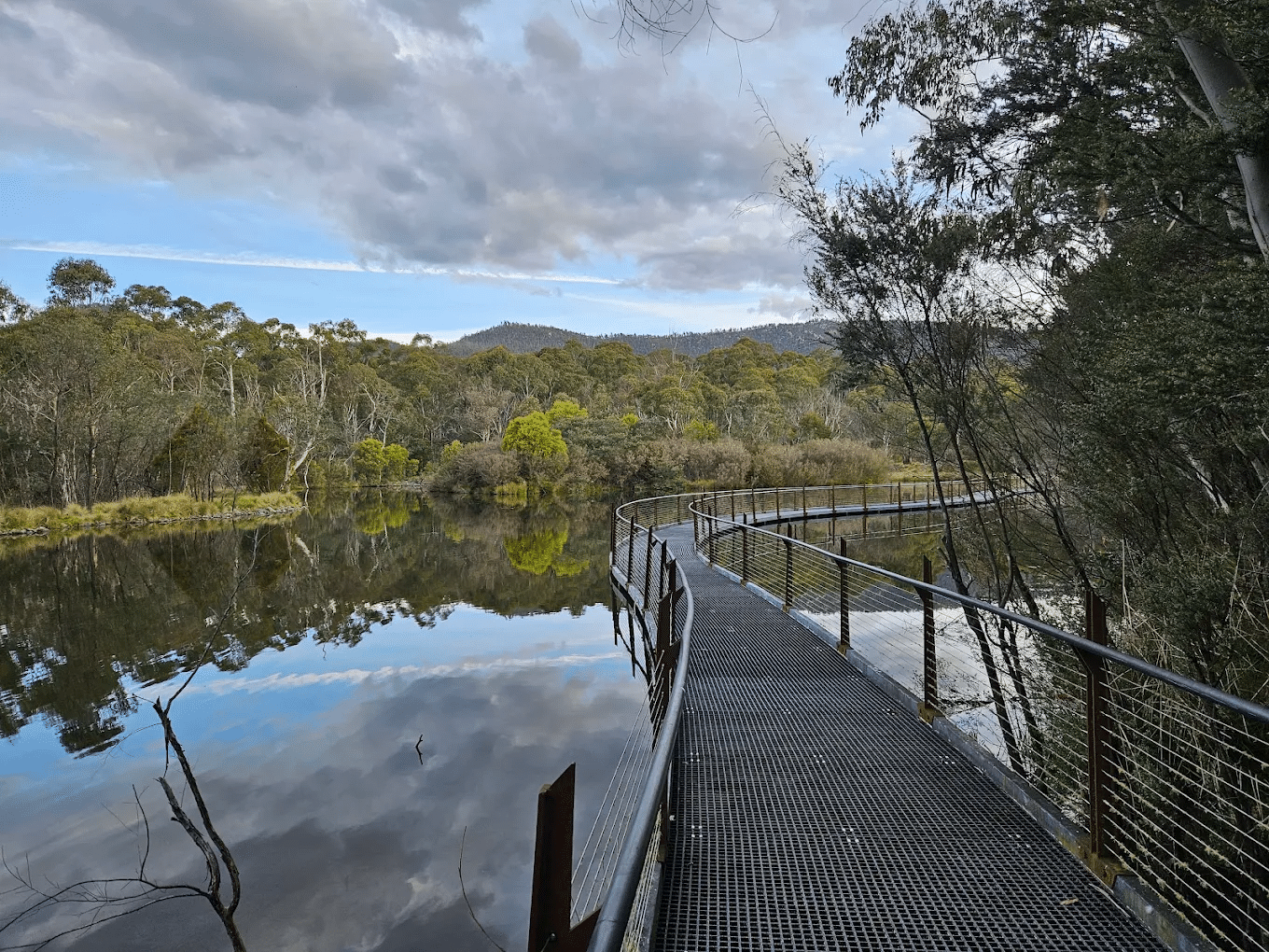 Wooden walkway to a lake in Canberra