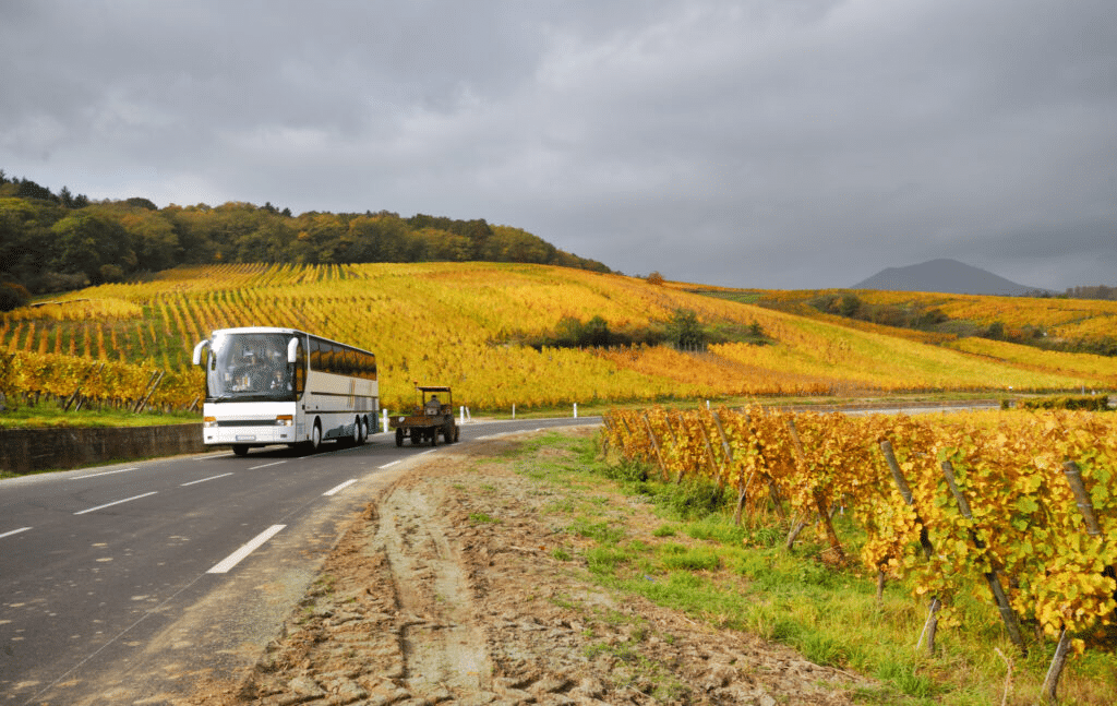 A bus on a road beside a green hillside