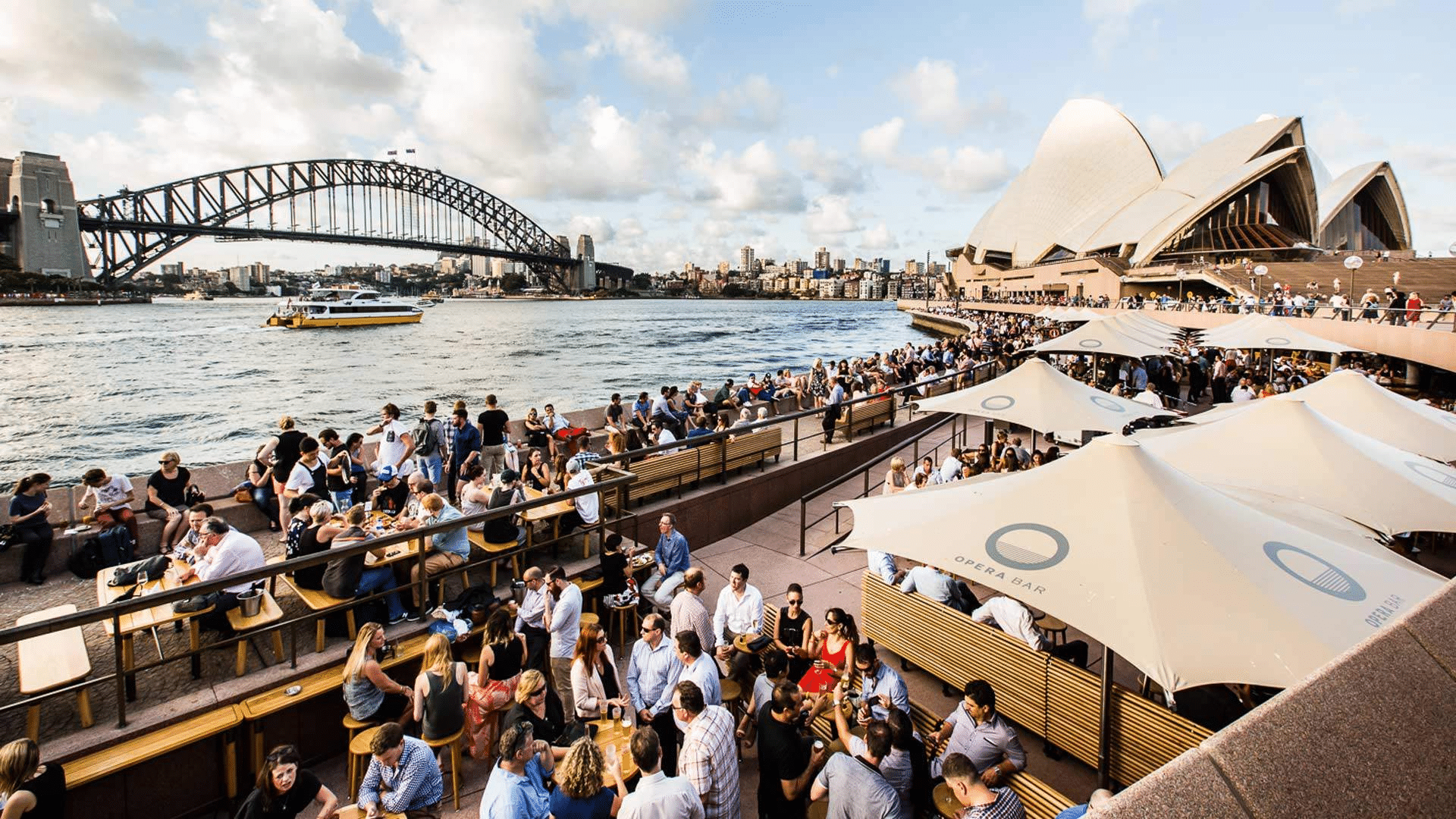 A crowd of people by Sydney's riverbank