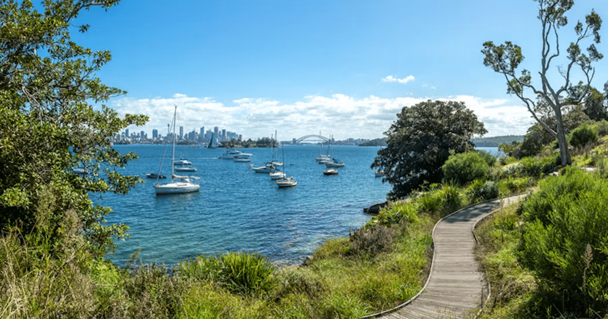 A harbor with boats in Sydney