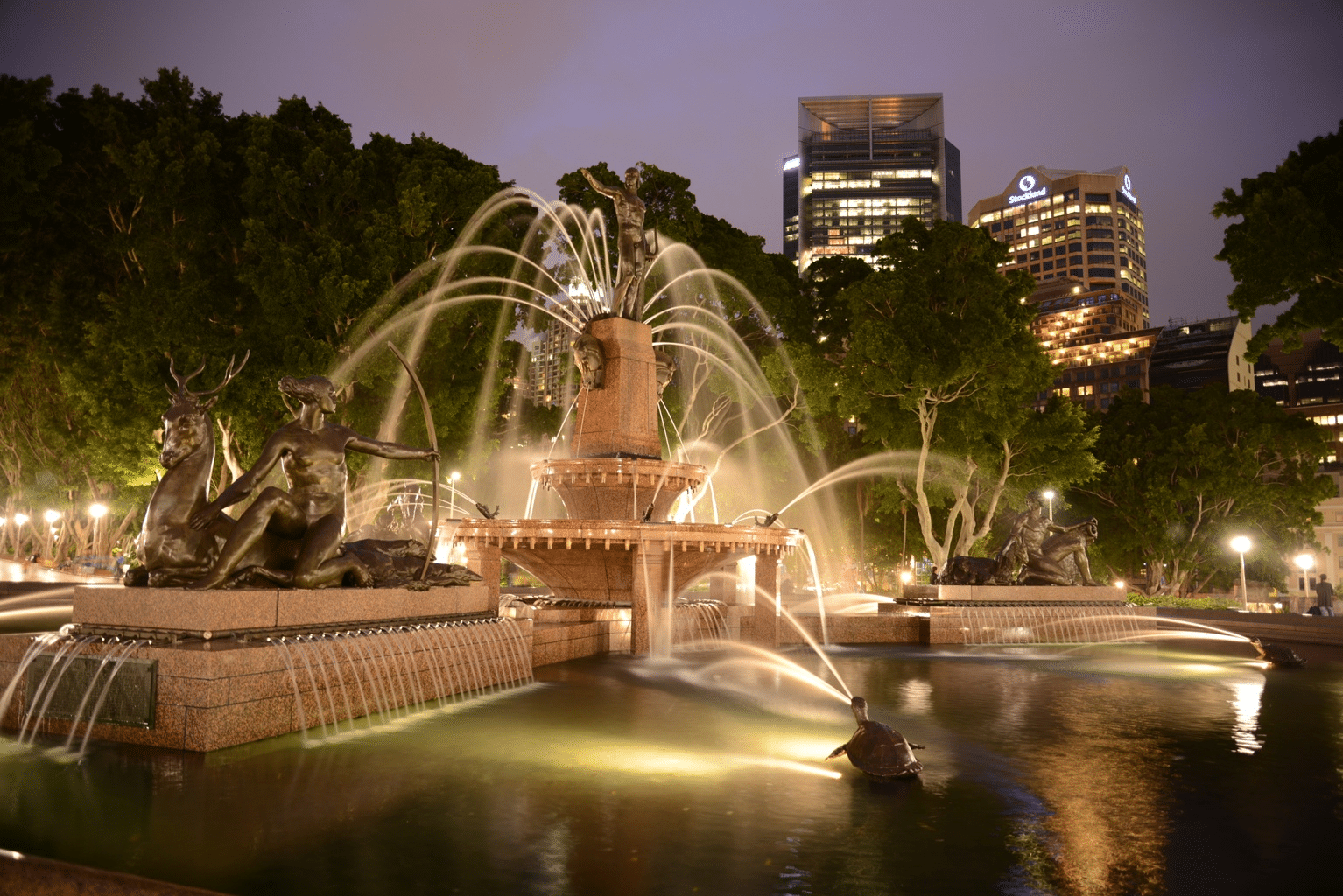A nighttime view of a water fountain in a Sydney park