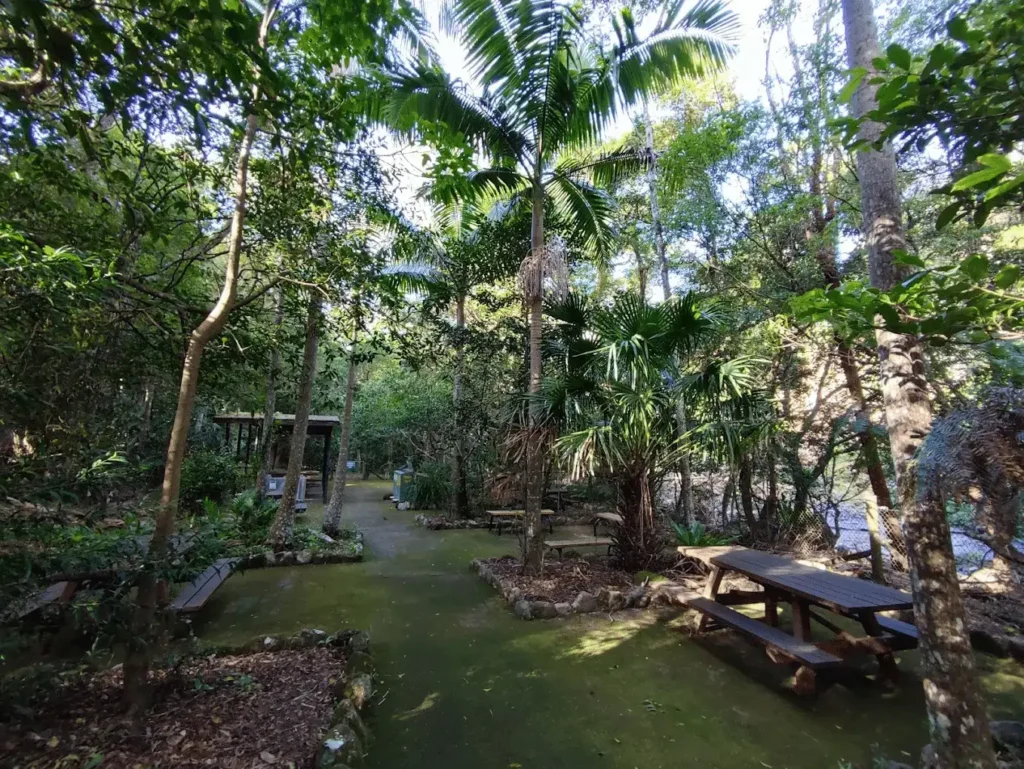 A peaceful park in Wollongong with benches for senior relaxation