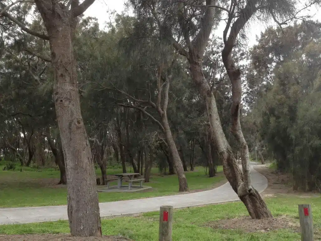 A peaceful park with trees and bench, ideal for seniors in Central Coast