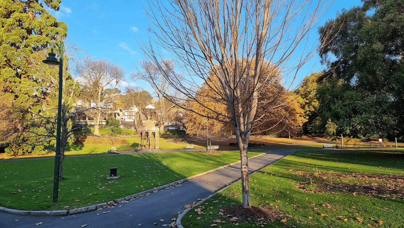 A picturesque park with trees lining a paved path, ideal for Launceston group nature trips