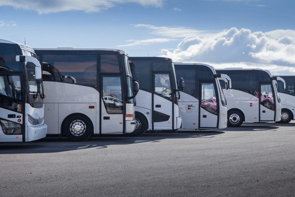 A row of parked buses near Sydney Harbour