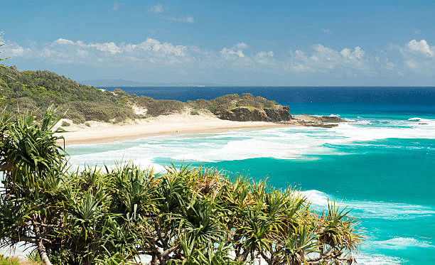A scenic beach view in Brisbane