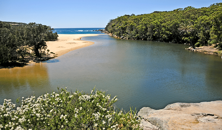 A scenic view of a tranquil body of water bordered by lush trees and rocks in Wollongong