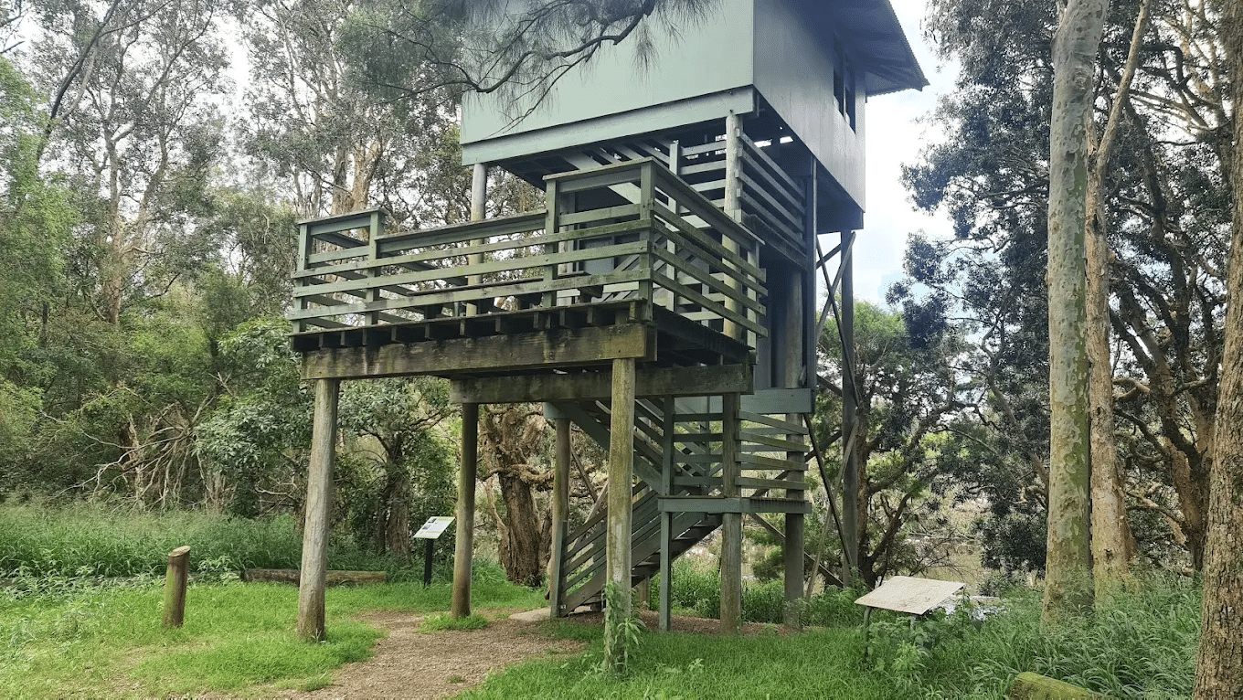 A tree house in a forest for school excursions