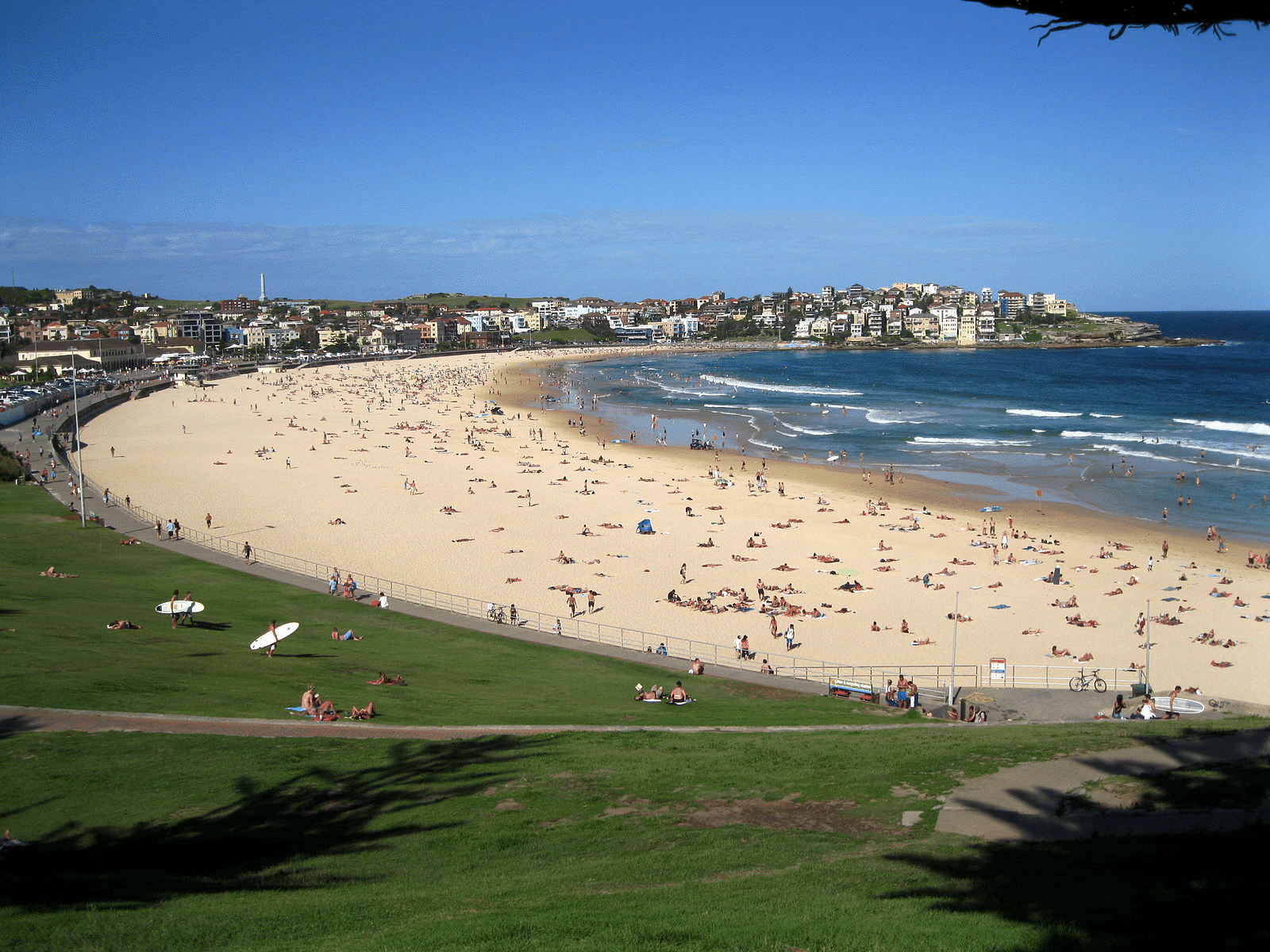 A vibrant gathering of beachgoers enjoying Sydney's coastline