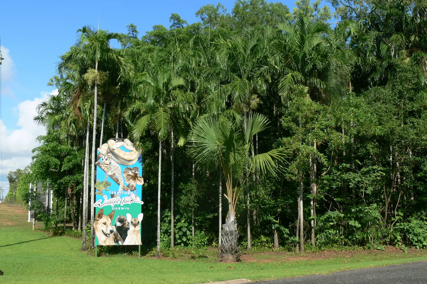 A wooden sign in a vibrant green forest, Darwin nature day trips