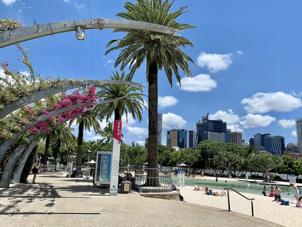 Beach scene with palm trees and sunbathers in Brisbane