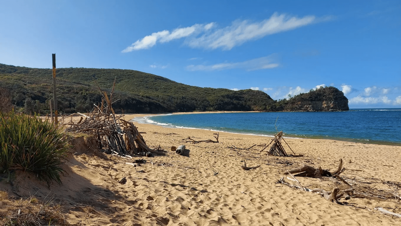 Beach with sticks on Central Coast