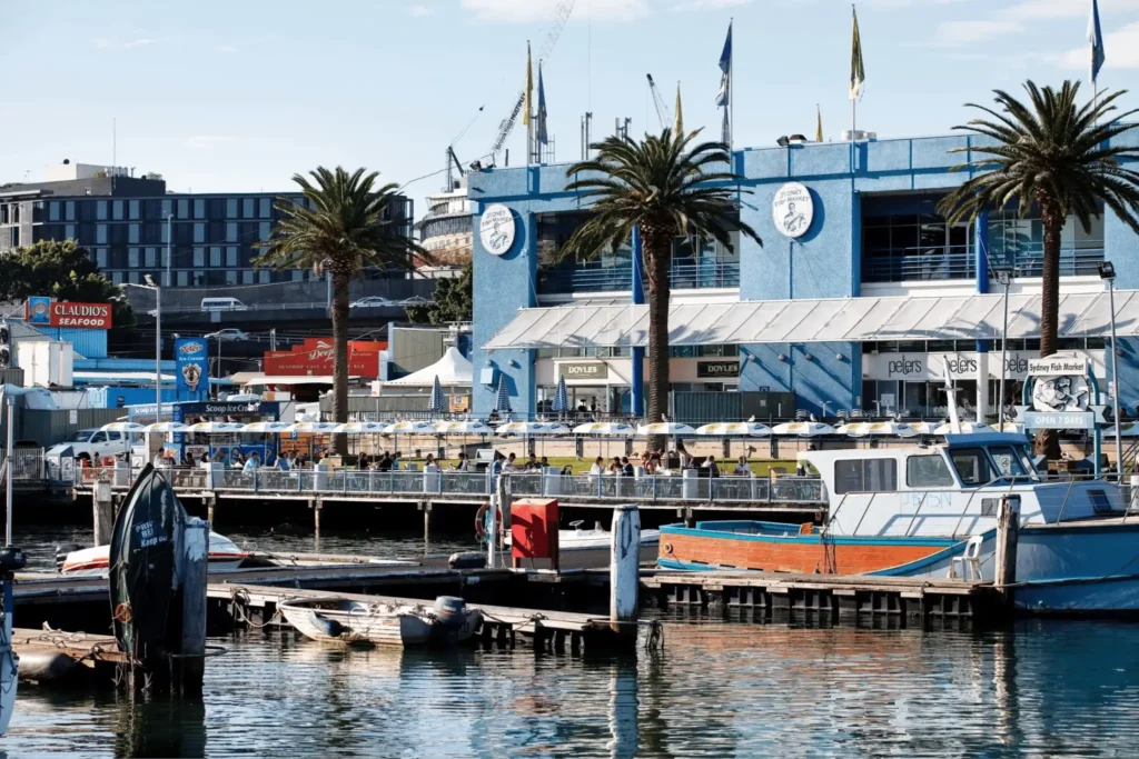 Boat docked at pier with palm trees in Sydney