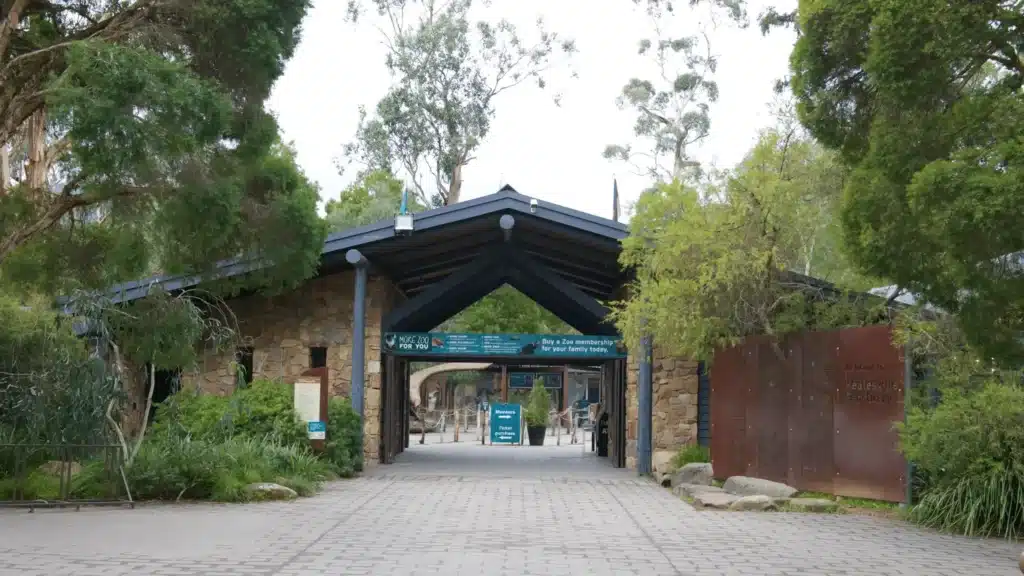 Brick walkway leading to a stone building in Yarra Ranges suburb