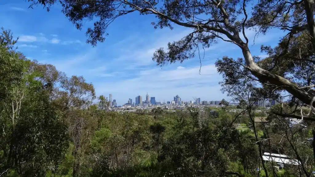 City skyline viewed from wooded area in Boroondara