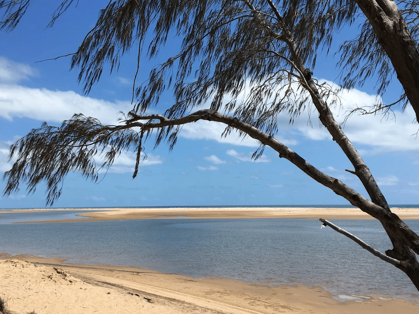 Coastal view of water and sandy beach in Townsville
