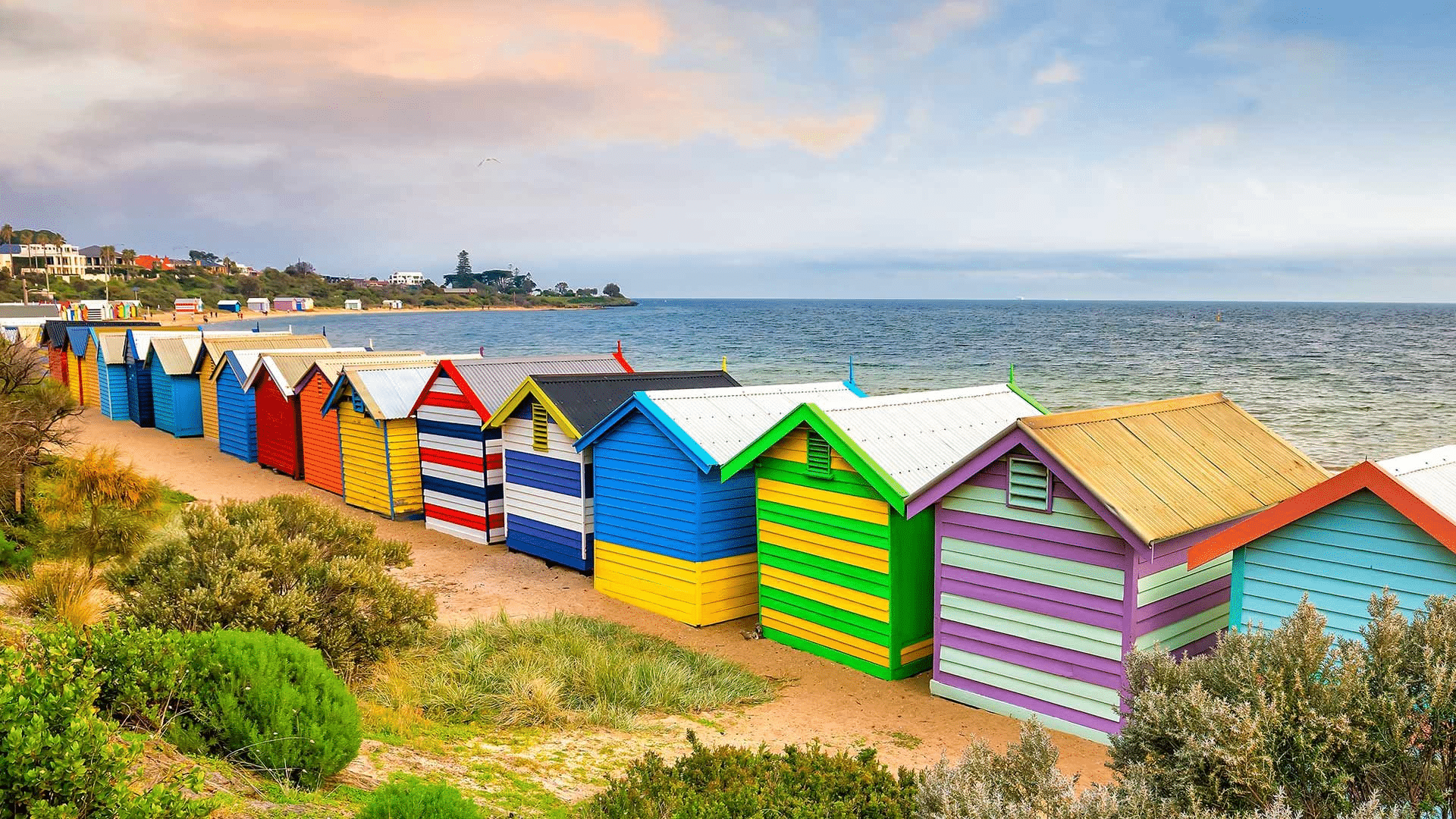 Colorful beach huts by the ocean on a Melbourne nature day trip