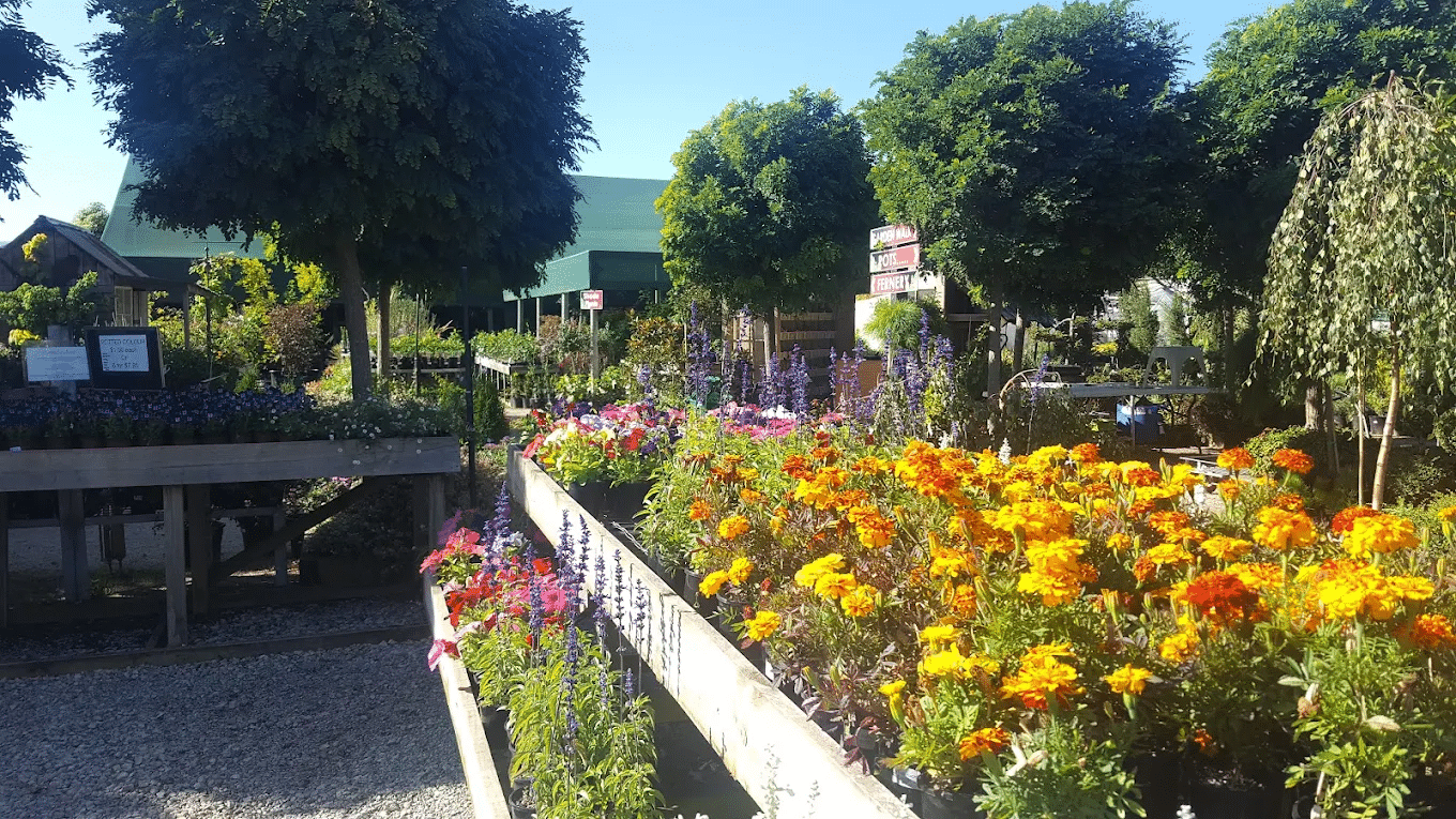 Colorful flower garden for church group outings in Launceston