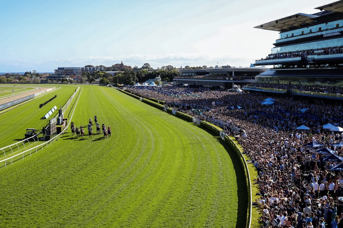 Crowd at a Sydney horse race