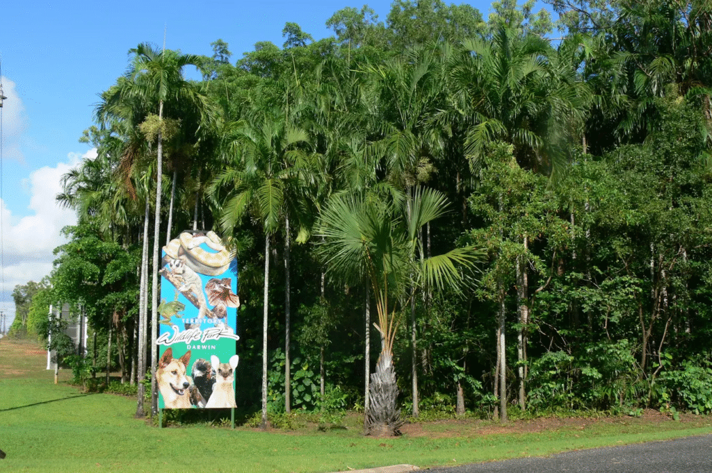 Top Darwin Nature Day Trips: Discovering Darwin’s Natural Wonders