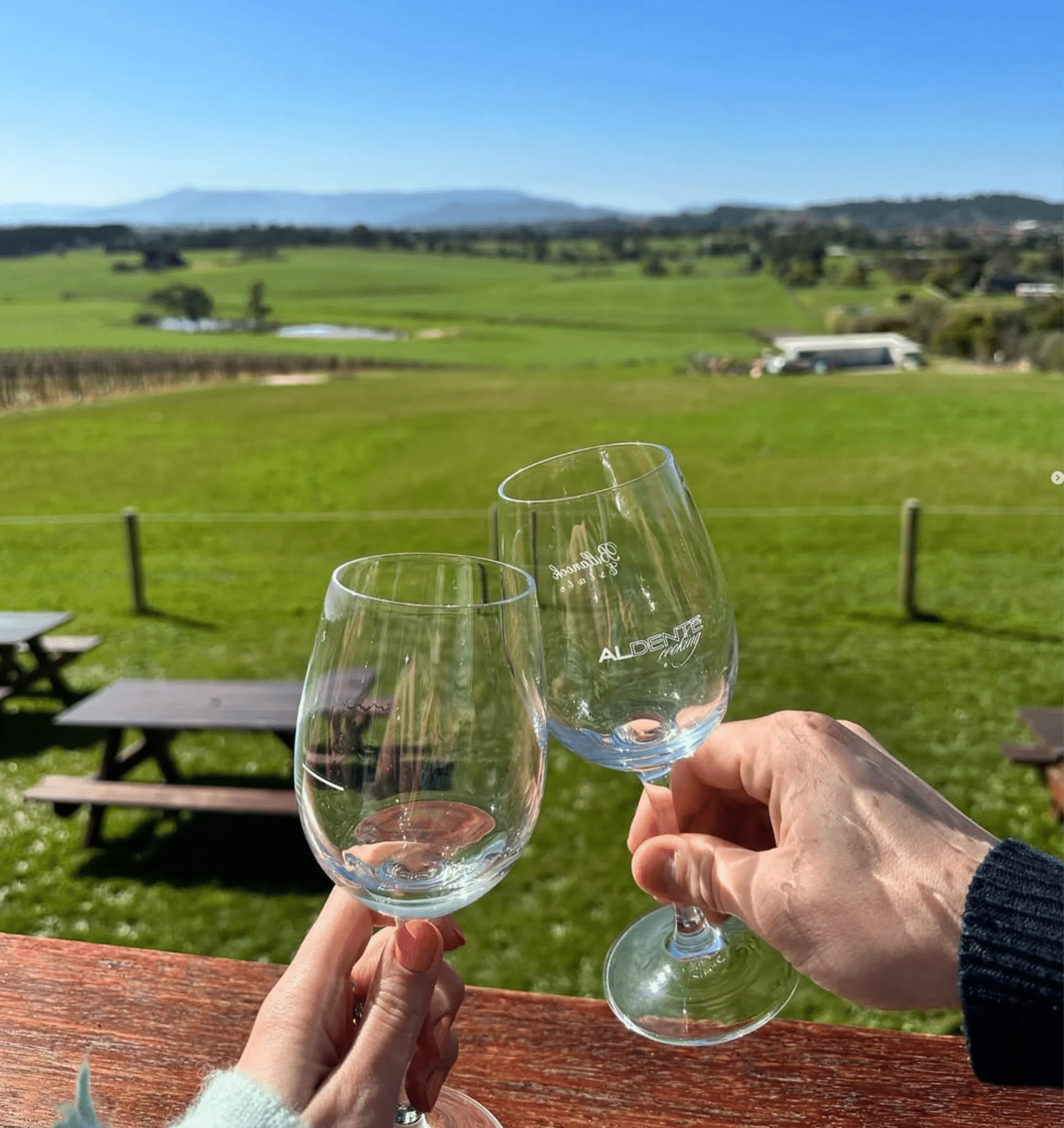 Friends toasting wine glasses at Melbourne group event