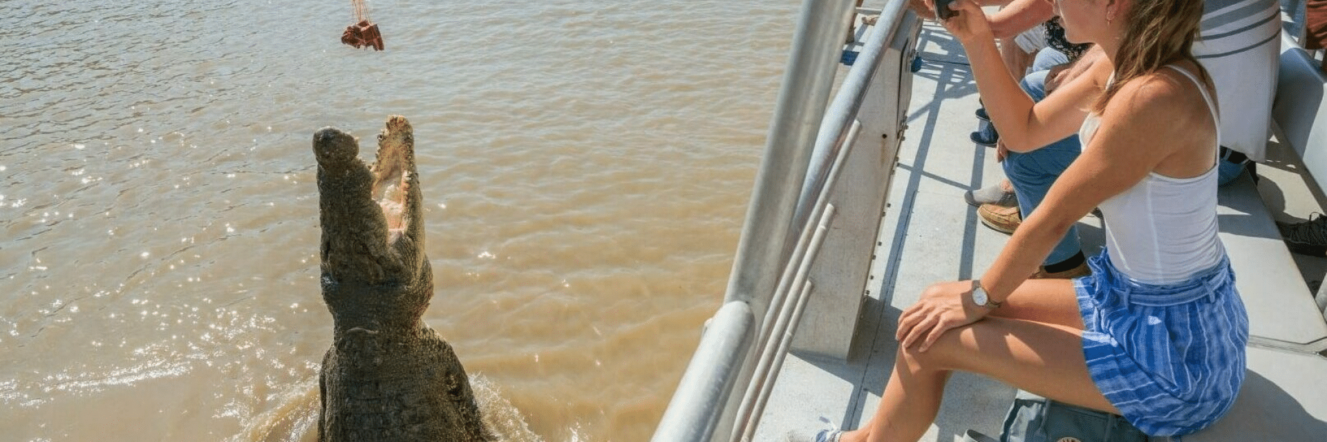 Girl observing alligator from boat during Darwin school excursion