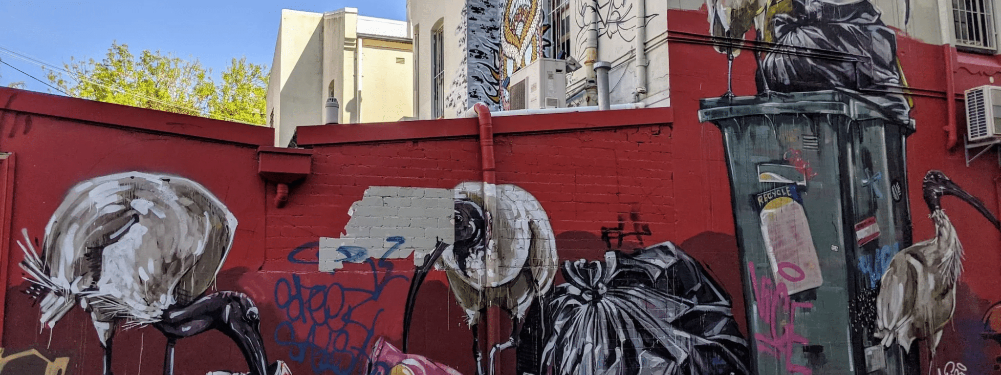 Graffiti on red wall in sydney