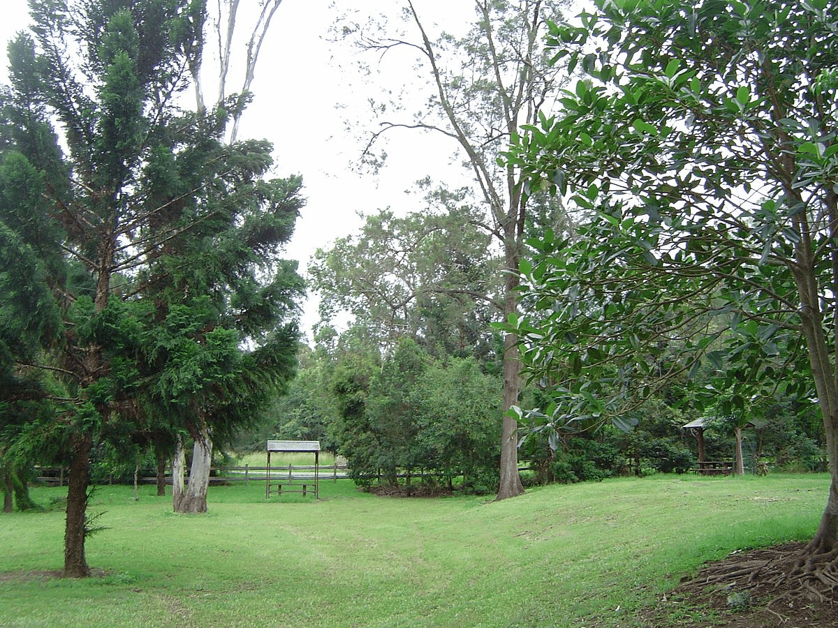 Grassy field with trees and bench in Brisbane nature spot
