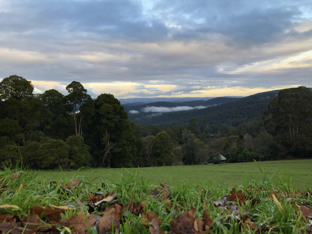 Melbourne Nature Day Trips: 10 Ideas for Nature Lovers